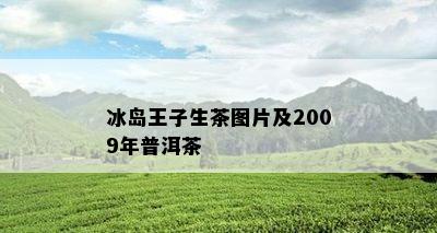 冰岛王子生茶图片及2009年普洱茶