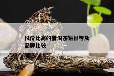 性价比高的普洱茶饼推荐及品牌比较