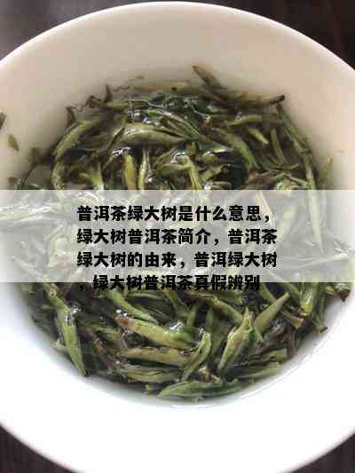 普洱茶绿大树是什么意思，绿大树普洱茶简介，普洱茶绿大树的由来，普洱绿大树，绿大树普洱茶真假辨别