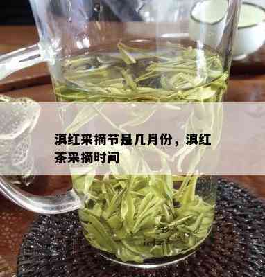 滇红采摘节是几月份，滇红茶采摘时间