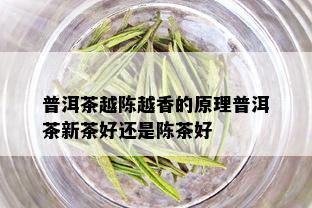 普洱茶越陈越香的原理普洱茶新茶好还是陈茶好