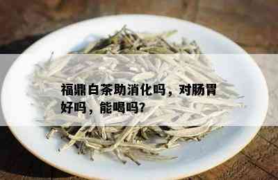 福鼎白茶助消化吗，对肠胃好吗，能喝吗？