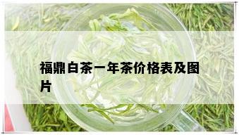 福鼎白茶一年茶价格表及图片