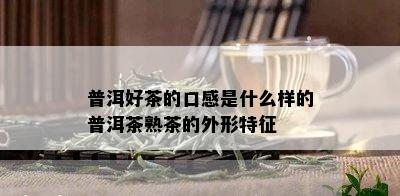 普洱好茶的口感是什么样的普洱茶熟茶的外形特征