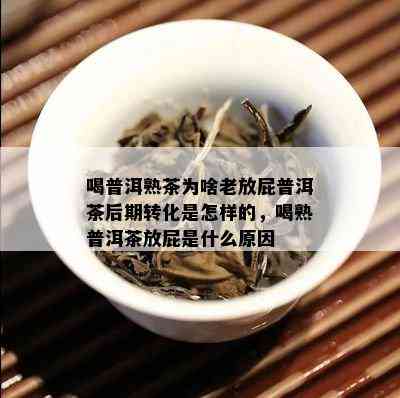 喝普洱熟茶为啥老放屁普洱茶后期转化是怎样的，喝熟普洱茶放屁是什么原因