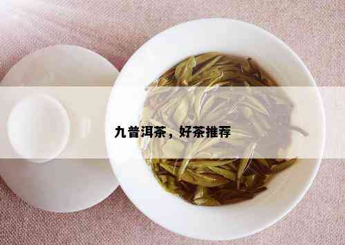 九普洱茶，好茶推荐