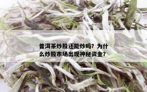 普洱茶炒股还能炒吗？为什么炒股市场出现神秘资金？