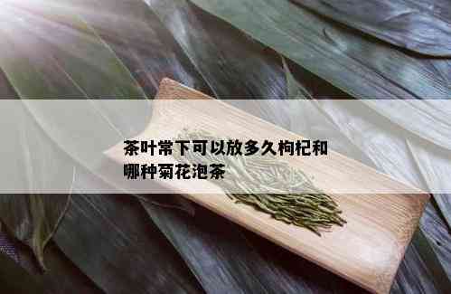 茶叶常下可以放多久枸杞和哪种菊花泡茶