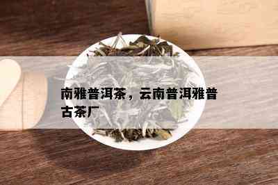 南雅普洱茶，云南普洱雅普古茶厂