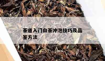 茶道入门白茶冲泡技巧及品鉴方法