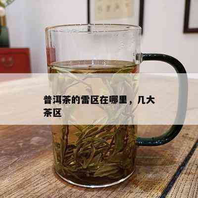 普洱茶的雷区在哪里，几大茶区