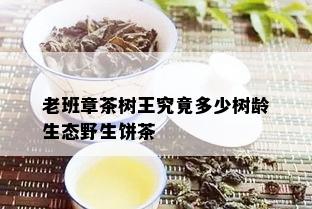 老班章茶树王究竟多少树龄生态野生饼茶