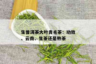 生普洱茶大叶青毛茶：功效、云南、生茶还是熟茶