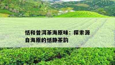 恬和普洱茶海原味：探索源自海原的恬静茶韵