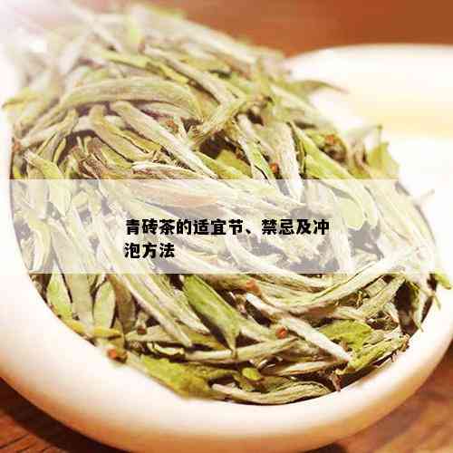 青砖茶的适宜节、禁忌及冲泡方法