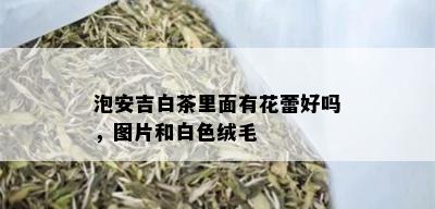 泡安吉白茶里面有花蕾好吗，图片和白色绒毛