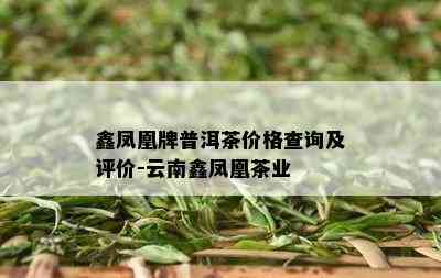 鑫凤凰牌普洱茶价格查询及评价-云南鑫凤凰茶业