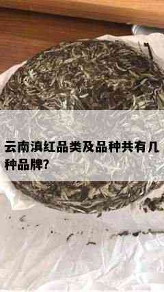 云南滇红品类及品种共有几种品牌？