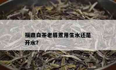 福鼎白茶老眉煮用生水还是开水？