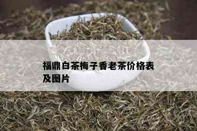 福鼎白茶梅子香老茶价格表及图片