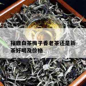 福鼎白茶梅子香老茶还是新茶好喝及价格