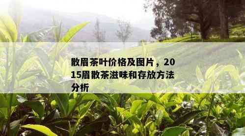 散眉茶叶价格及图片，2015眉散茶滋味和存放方法分析