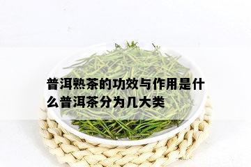 普洱熟茶的功效与作用是什么普洱茶分为几大类