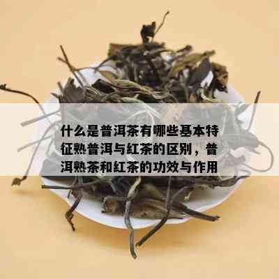 什么是普洱茶有哪些基本特征熟普洱与红茶的区别，普洱熟茶和红茶的功效与作用