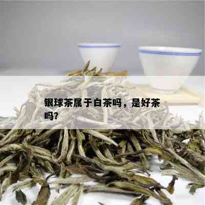 银球茶属于白茶吗，是好茶吗？