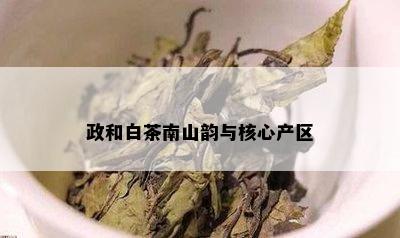 政和白茶南山韵与核心产区