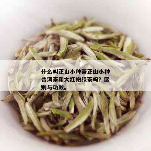 什么叫正山小种茶正山小种普洱茶和大红袍绿茶吗？区别与功效。