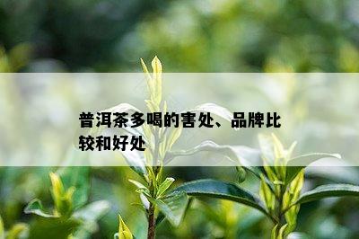 普洱茶多喝的害处、品牌比较和好处