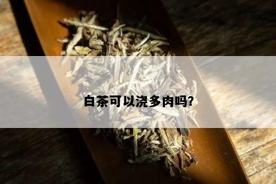 白茶可以浇多肉吗？