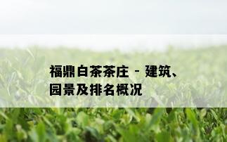 福鼎白茶茶庄 - 建筑、园景及排名概况