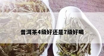 普洱茶4级好还是7级好喝