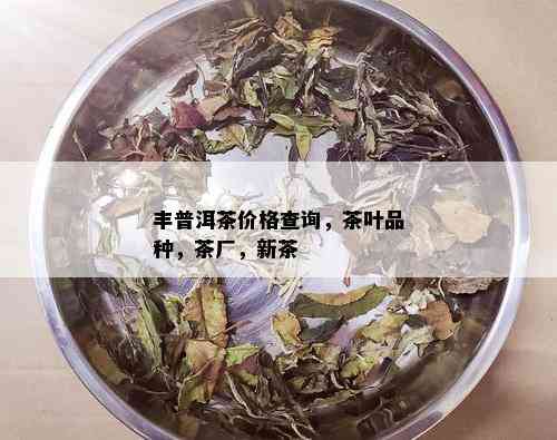 丰普洱茶价格查询，茶叶品种，茶厂，新茶