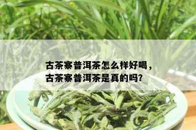 古茶寨普洱茶怎么样好喝，古茶寨普洱茶是真的吗？