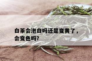 白茶会泡白吗还是变黄了，会变色吗？