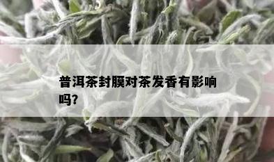 普洱茶封膜对茶发香有影响吗？