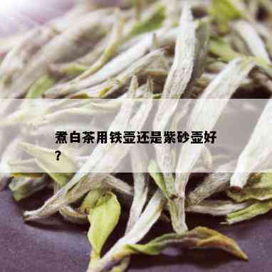 煮白茶用铁壶还是紫砂壶好？