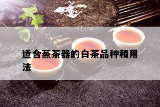 适合蒸茶器的白茶品种和用法