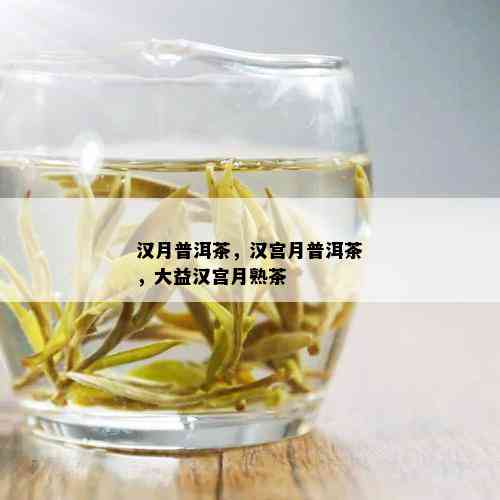 汉月普洱茶，汉宫月普洱茶，大益汉宫月熟茶