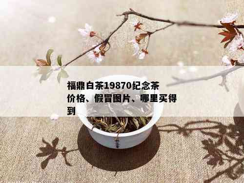 福鼎白茶19870纪念茶价格、假冒图片、哪里买得到