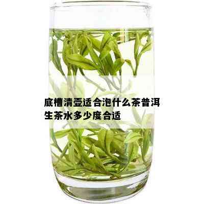 底槽清壶适合泡什么茶普洱生茶水多少度合适