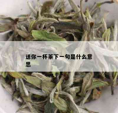 送你一杯茶下一句是什么意思