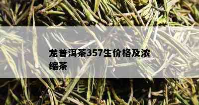 龙普洱茶357生价格及浓缩茶