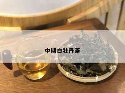 中期白牡丹茶