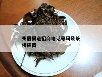 州眉渠道招商电话号码及茶供应商