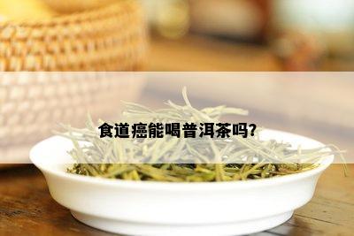 食道癌能喝普洱茶吗？