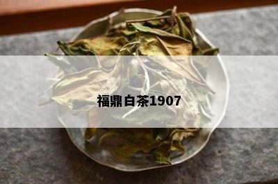 福鼎白茶1907